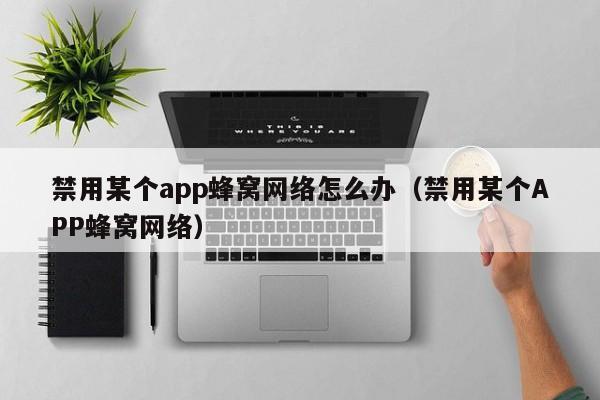 禁用某个app蜂窝网络怎么办（禁用某个APP蜂窝网络） 