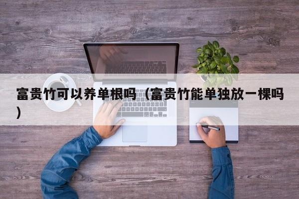 富贵竹可以养单根吗（富贵竹能单独放一棵吗） 