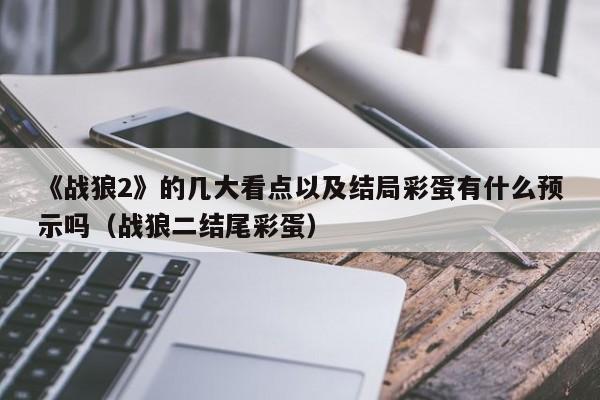 《战狼2》的几大看点以及结局彩蛋有什么预示吗（战狼二结尾彩蛋） 