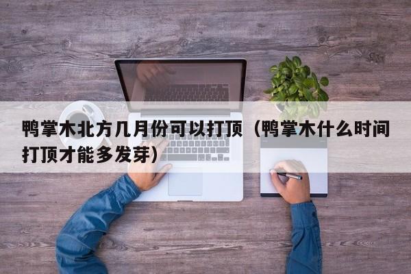 鸭掌木北方几月份可以打顶（鸭掌木什么时间打顶才能多发芽） 