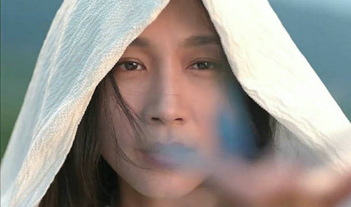 楚乔传詹子瑜到底是何许人也？夏虫和詹子瑜(楚乔传詹子瑜真实身份是什么)