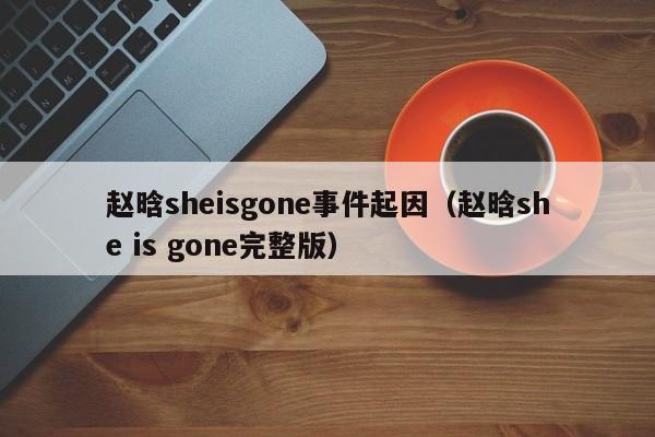 赵晗sheisgone事件起因（赵晗she is gone完整版） 