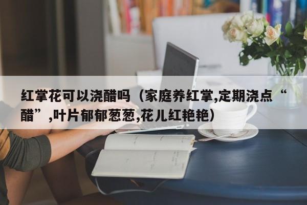 红掌花可以浇醋吗（家庭养红掌,定期浇点“醋”,叶片郁郁葱葱,花儿红艳艳） 
