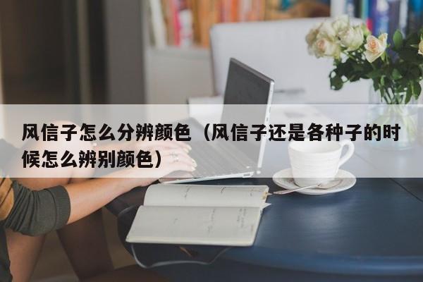 风信子怎么分辨颜色（风信子还是各种子的时候怎么辨别颜色） 