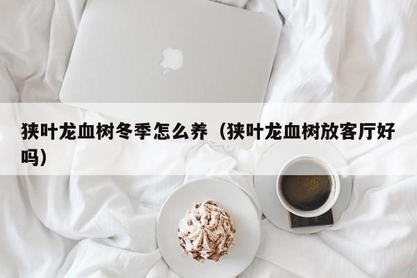 狭叶龙血树冬季怎么养（狭叶龙血树放客厅好吗） 