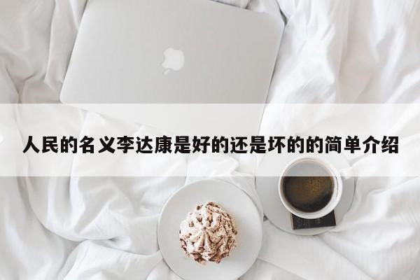 人民的名义李达康是好的还是坏的的简单介绍 