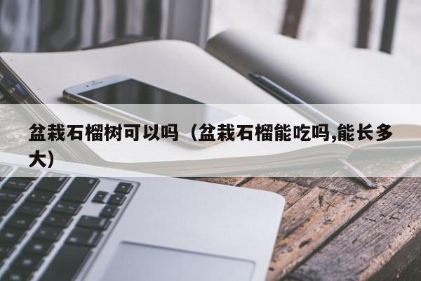 盆栽石榴树可以吗（盆栽石榴能吃吗,能长多大） 