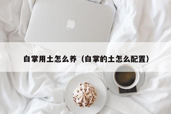白掌用土怎么养（白掌的土怎么配置） 