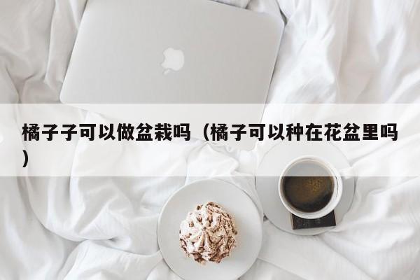 橘子子可以做盆栽吗（橘子可以种在花盆里吗） 