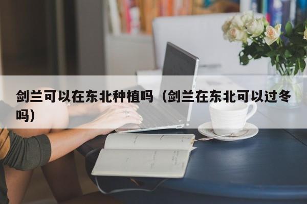 剑兰可以在东北种植吗（剑兰在东北可以过冬吗） 