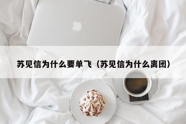 苏见信为什么要单飞（苏见信为什么离团） 