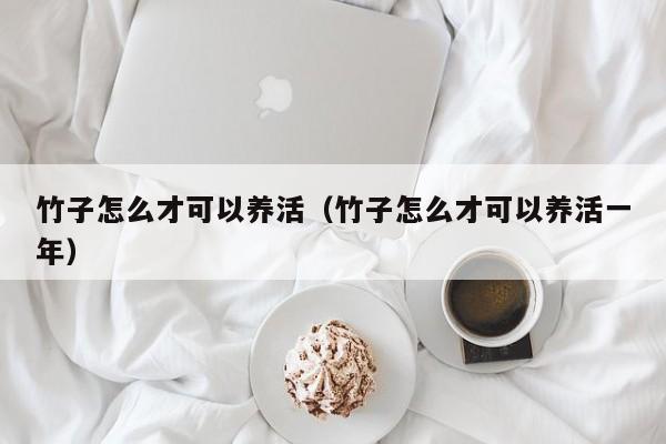 竹子怎么才可以养活（竹子怎么才可以养活一年） 