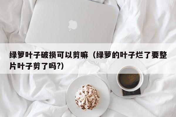 绿箩叶子破损可以剪嘛（绿萝的叶子烂了要整片叶子剪了吗?） 