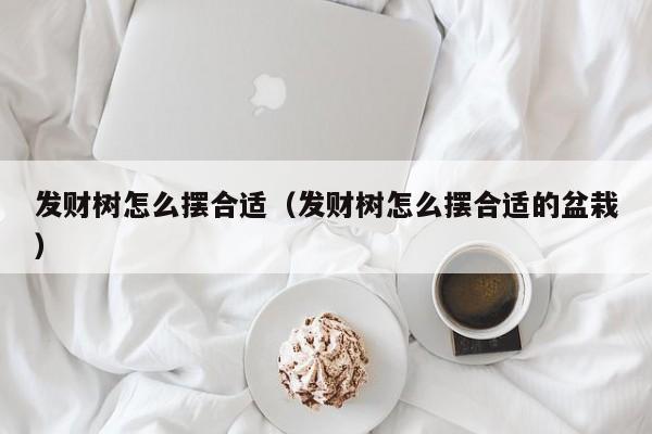 发财树怎么摆合适（发财树怎么摆合适的盆栽） 