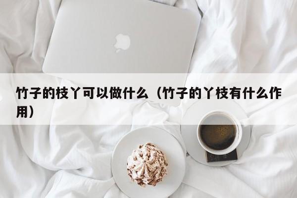 竹子的枝丫可以做什么（竹子的丫枝有什么作用） 