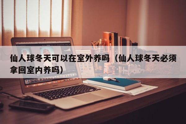 仙人球冬天可以在室外养吗（仙人球冬天必须拿回室内养吗） 