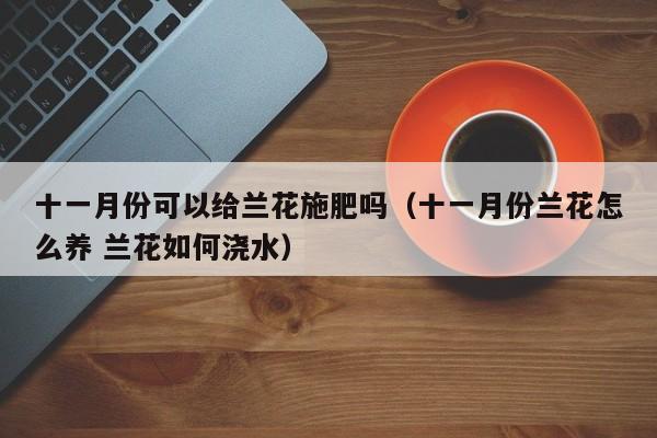 十一月份可以给兰花施肥吗（十一月份兰花怎么养 兰花如何浇水） 