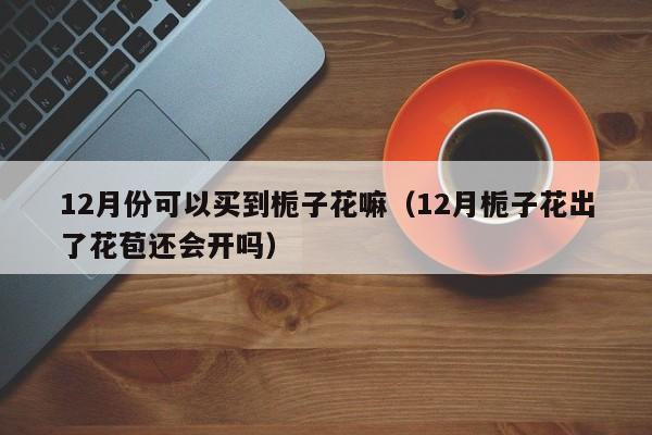 12月份可以买到栀子花嘛（12月栀子花出了花苞还会开吗） 