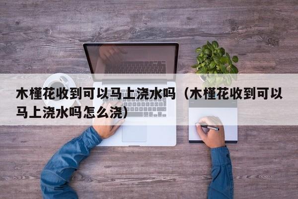 木槿花收到可以马上浇水吗（木槿花收到可以马上浇水吗怎么浇） 