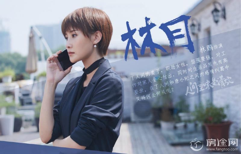 林月怎么陷害丁人间的(丁人间在林月心中的地位)