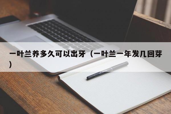 一叶兰养多久可以出牙（一叶兰一年发几回芽） 