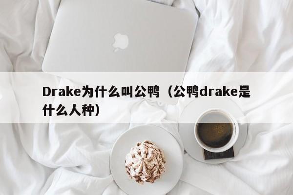 Drake为什么叫公鸭（公鸭drake是什么人种） 
