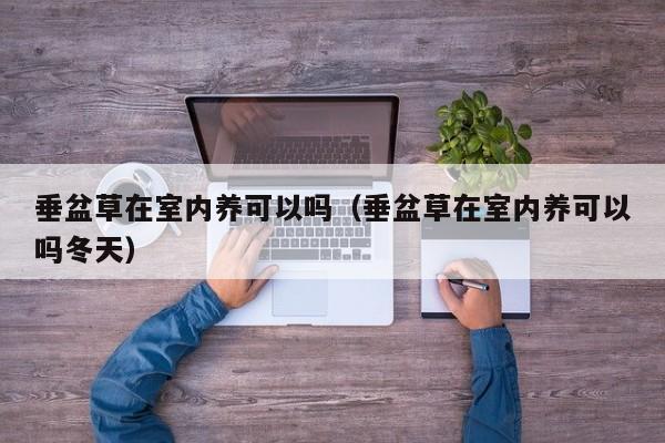 垂盆草在室内养可以吗（垂盆草在室内养可以吗冬天） 