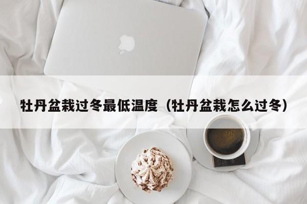 牡丹盆栽过冬最低温度（牡丹盆栽怎么过冬） 