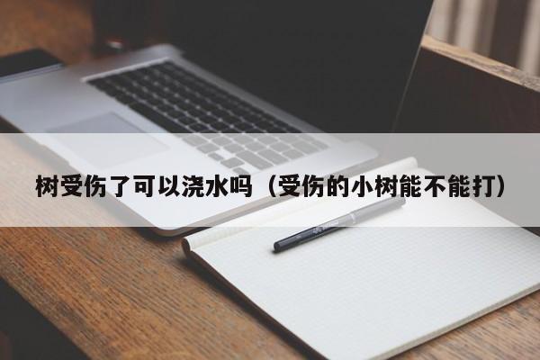 树受伤了可以浇水吗（受伤的小树能不能打） 