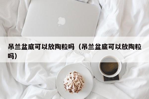 吊兰盆底可以放陶粒吗（吊兰盆底可以放陶粒吗） 