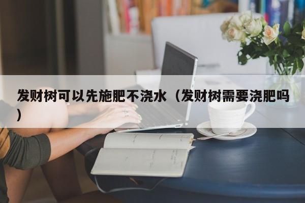 发财树可以先施肥不浇水（发财树需要浇肥吗） 