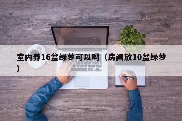 室内养16盆绿萝可以吗（房间放10盆绿萝） 