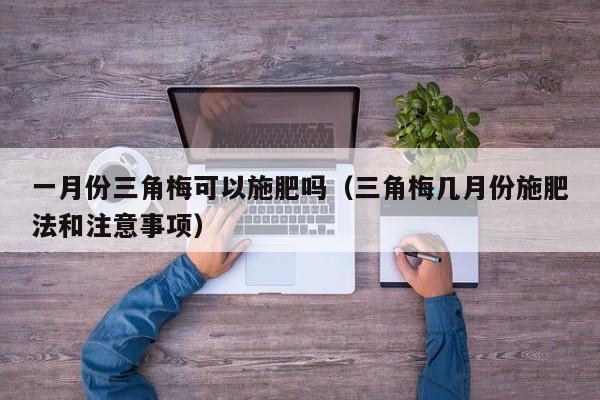 一月份三角梅可以施肥吗（三角梅几月份施肥法和注意事项） 