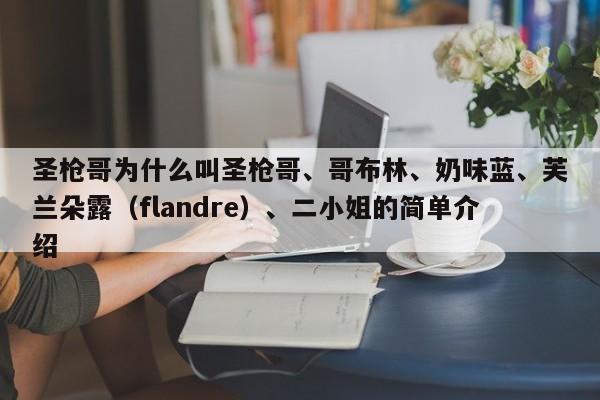 圣枪哥为什么叫圣枪哥、哥布林、奶味蓝、芙兰朵露（flandre）、二小姐的简单介绍 