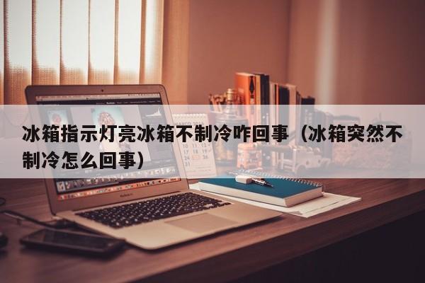 冰箱指示灯亮冰箱不制冷咋回事（冰箱突然不制冷怎么回事） 