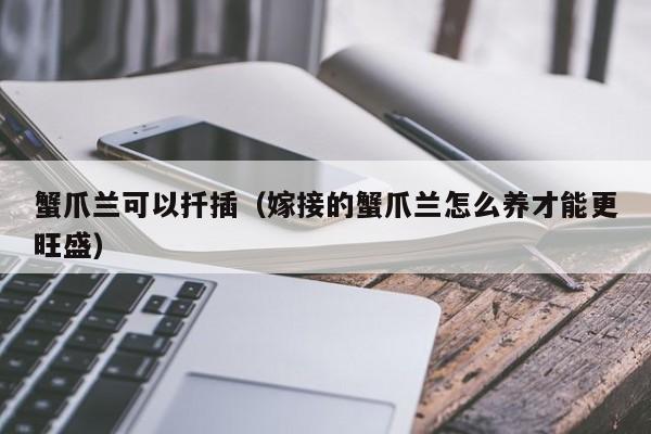 蟹爪兰可以扦插（嫁接的蟹爪兰怎么养才能更旺盛） 