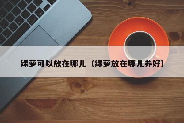 绿萝可以放在哪儿（绿萝放在哪儿养好） 