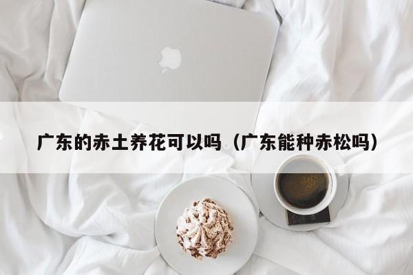 广东的赤土养花可以吗（广东能种赤松吗） 