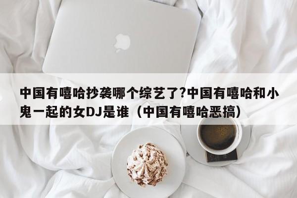 中国有嘻哈抄袭哪个综艺了?中国有嘻哈和小鬼一起的女DJ是谁（中国有嘻哈恶搞） 