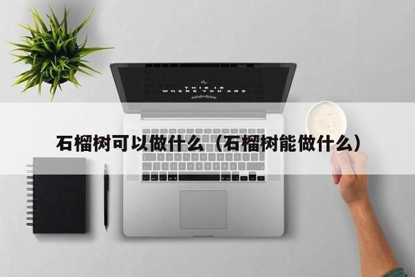 石榴树可以做什么（石榴树能做什么） 