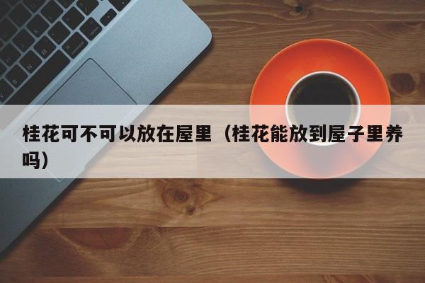 桂花可不可以放在屋里（桂花能放到屋子里养吗） 