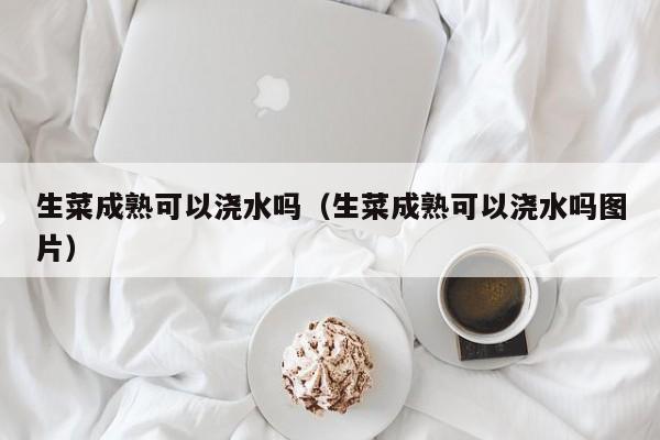 生菜成熟可以浇水吗（生菜成熟可以浇水吗图片） 