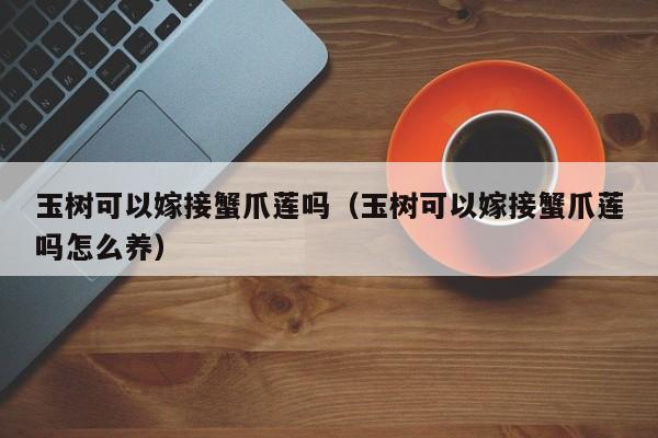 玉树可以嫁接蟹爪莲吗（玉树可以嫁接蟹爪莲吗怎么养） 