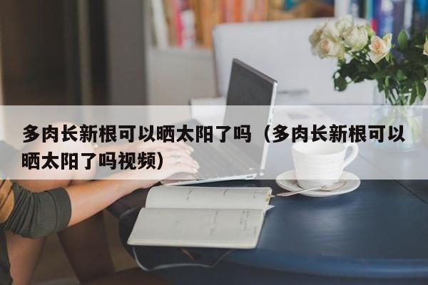 多肉长新根可以晒太阳了吗（多肉长新根可以晒太阳了吗视频） 