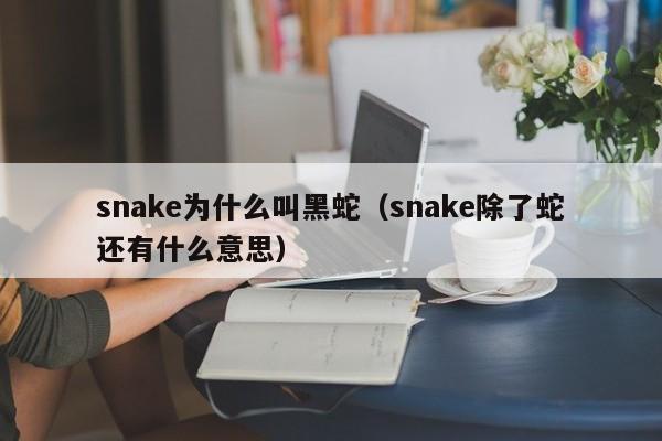 snake为什么叫黑蛇（snake除了蛇还有什么意思） 