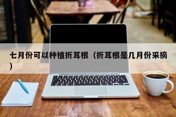 七月份可以种植折耳根（折耳根是几月份采摘） 