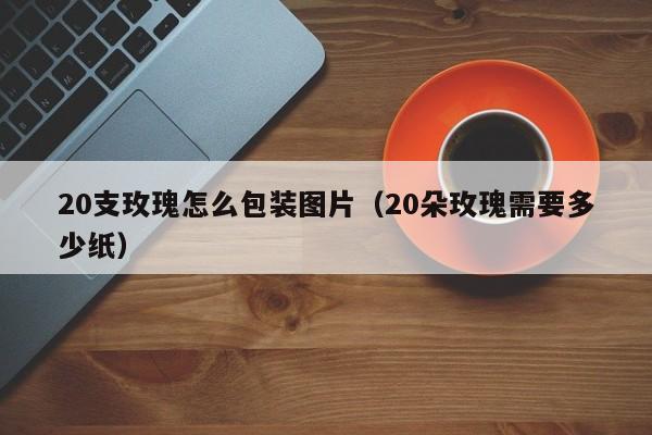 20支玫瑰怎么包装图片（20朵玫瑰需要多少纸） 