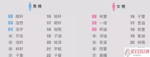 张涵(张涵予鬼吹灯)
