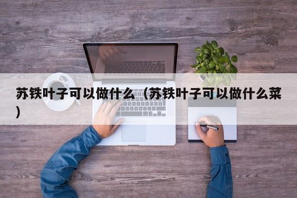 苏铁叶子可以做什么（苏铁叶子可以做什么菜） 