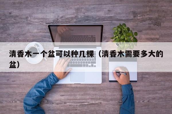 清香木一个盆可以种几棵（清香木需要多大的盆） 